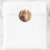Charming Maine Coon Cat Runder Aufkleber (Tasche)