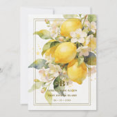 Charming Mediterranean Botanical Floral Lemons Einladung (Vorderseite)