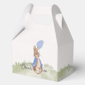 Charming Peter Rabbit Themed Party Geschenkschachtel (Vorderseite)