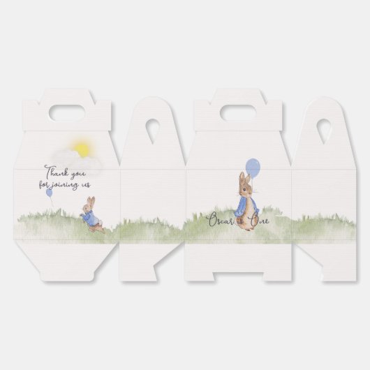 Charming Peter Rabbit Themed Party Geschenkschachtel (Ungeklappt)