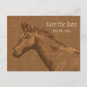 Charming Rustikales Pferd Save the Date Postkarte (Vorderseite)
