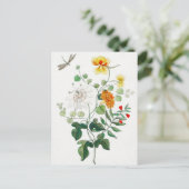 Charming Still Life Blume Postkarte (Stehend Vorderseite)