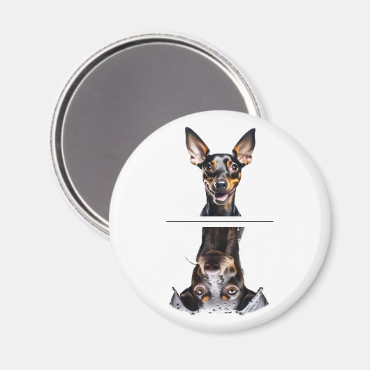 Charming Toy Manchester Terrier Geschirrspüler Magnet (Vorderseite/Rückseite)