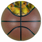 Charming White Bellied Caique Parrot Basketball (Rechts)