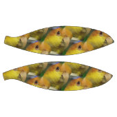 Charming White Bellied Caique Parrot Basketball (Panele)