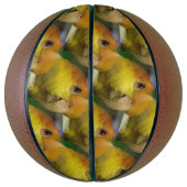 Charming White Bellied Caique Parrot Basketball (Vertikal)
