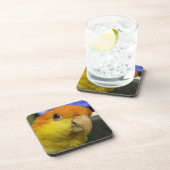 Charming White Bellied Caique Parrot Getränkeuntersetzer (Rechte Seite)