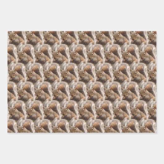 Charming Woodland Eichhörnchen Geschenkwrake Geschenkpapier Set (Vorderseite 2)