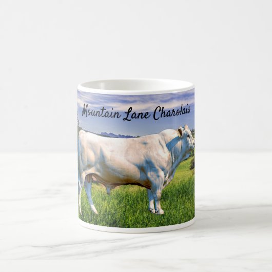 Charolais Bull  Kaffeetasse (Mittel)