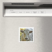 Charolais-Kuhmagnet Magnet (In Situ (Geschirrspüler))