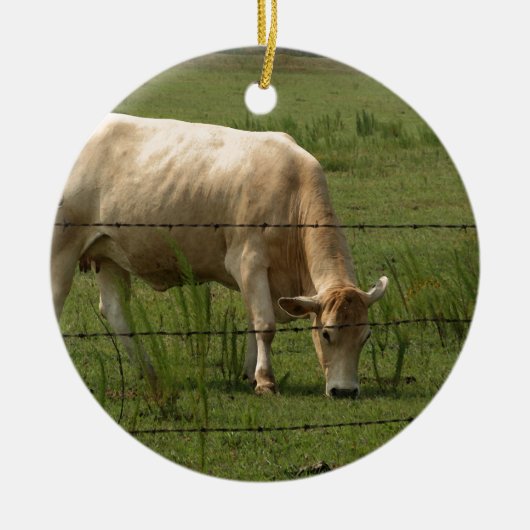 Charolais schüchtern das Weiden lassen auf dem Keramikornament (Vorne)