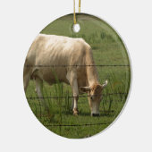 Charolais schüchtern das Weiden lassen auf dem Keramikornament (Links)