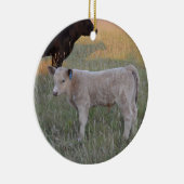 Charolaiskalb Keramikornament (Rechts)