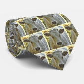 Charolaiskuh-Krawatte Krawatte (Gerollt)