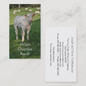 CharolaisMastvieh mit Kalb Visitenkarte (Vorne/Hinten)