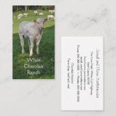 CharolaisMastvieh mit Kalb Visitenkarte (Vorne/Hinten)
