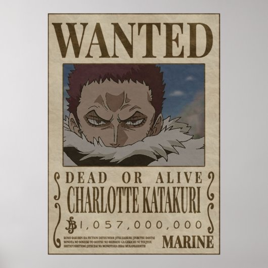 CHAROLETTE KATAKURI Ein Stück gewollt Poster (Vorne)
