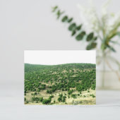 Charre, Libanon Postkarte (Stehend Vorderseite)