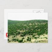 Charre, Libanon Postkarte (Vorne/Hinten)