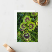 Chartreuse Colored Geranium-Blätter Mitteilungskarte (Vorderseite/Rückseite Beispiel)
