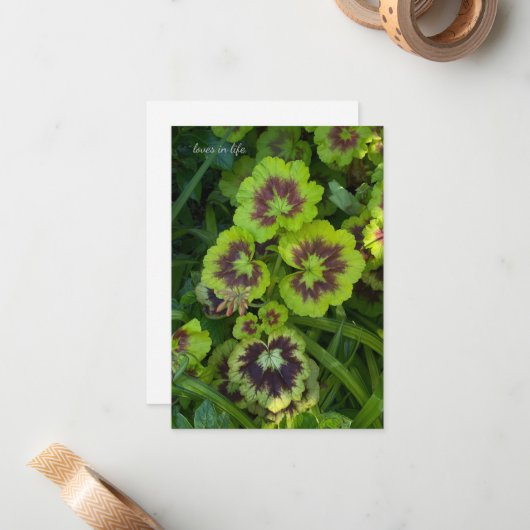 Chartreuse Colored Geranium-Blätter Mitteilungskarte (Vorderseite/Rückseite Beispiel)