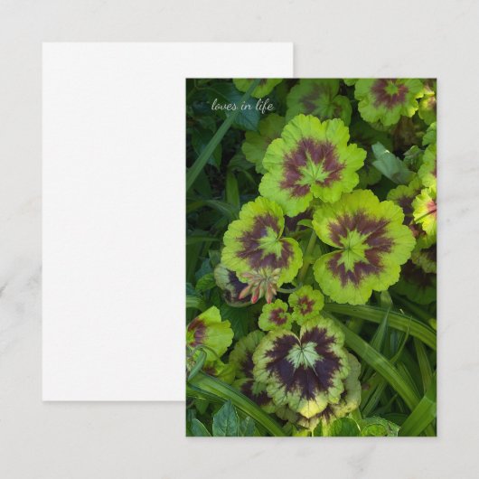 Chartreuse Colored Geranium-Blätter Mitteilungskarte (Vorne/Hinten)