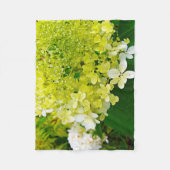 Chartreuse Green, Limelight Hydrangea, Fleecedecke (Vorderseite)