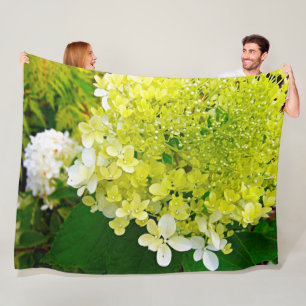 Chartreuse Green, Limelight Hydrangea, Fleecedecke