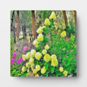 Chartreuse Green Limelight Hydrangea Garden Fotoplatte (Vorderseite)