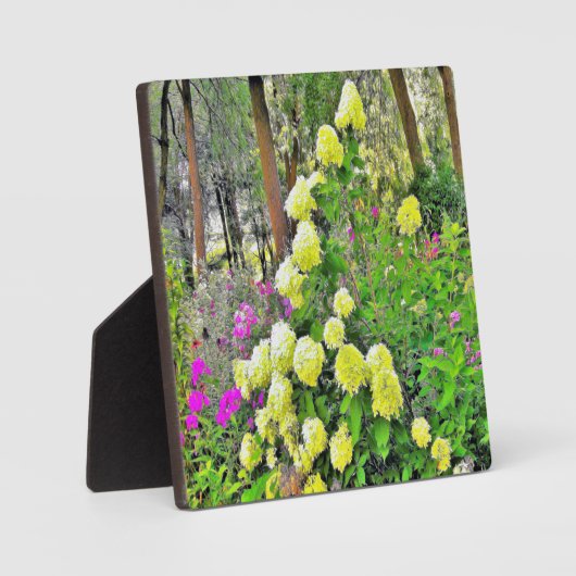 Chartreuse Green Limelight Hydrangea Garden Fotoplatte (Vorderseite)