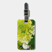Chartreuse Green, Limelight Hydrangea, Gepäckanhänger (Vorderseite vertikal)
