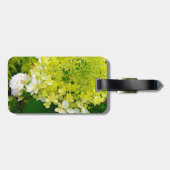 Chartreuse Green, Limelight Hydrangea, Gepäckanhänger (Rückseite horizontal)