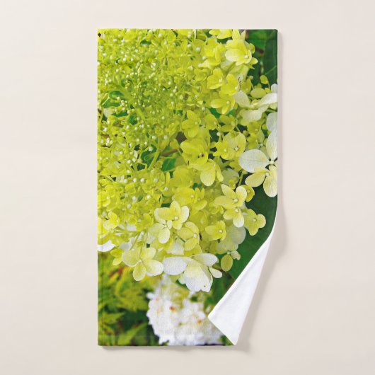 Chartreuse Green, Limelight Hydrangea, Handtuch (Handtuch)