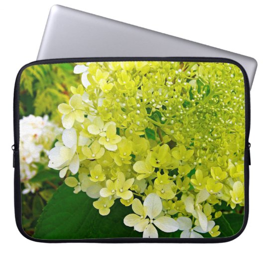 Chartreuse Green, Limelight Hydrangea, Laptopschutzhülle (Vorderseite)