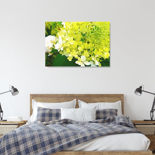 Chartreuse Green, Limelight Hydrangea, Leinwanddruck (Insitu (Schlafzimmer))