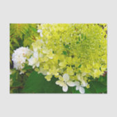 Chartreuse Green, Limelight Hydrangea, Seidenpapier (Vorderseite)