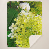 Chartreuse Green, Limelight Hydrangea, Sherpadecke (Vorderseite)