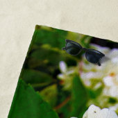 Chartreuse Green, Limelight Hydrangea, Strandtuch (Beispiel)