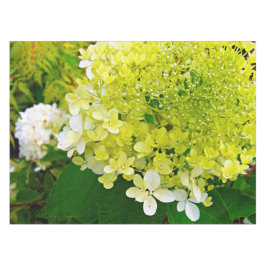 Chartreuse Green, Limelight Hydrangea, Tischdecke