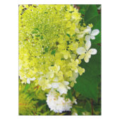 Chartreuse Green, Limelight Hydrangea, Tischdecke (Vorderseite)