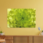Chartreuse Green Mum Wrapped Canvas Leinwanddruck (Insitu (Wohnzimmer))