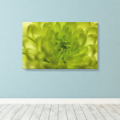 Chartreuse Green Mum Wrapped Canvas Leinwanddruck (Insitu (Holzboden))
