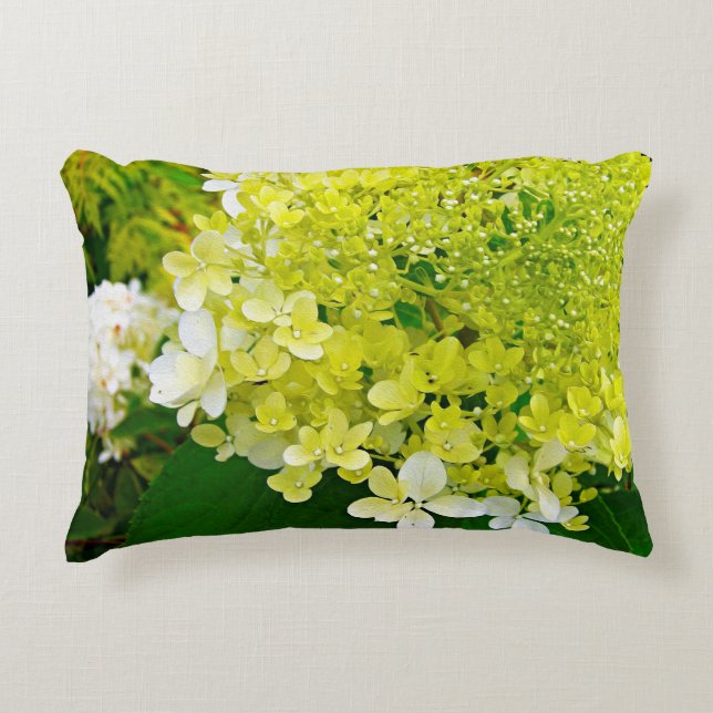 Chartreuse Grün, Limelight Hortensie, Dekokissen (Vorderseite)