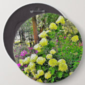Chartreuse Grüne Limelight Hortensien Garten Button (Vorne & Hinten)