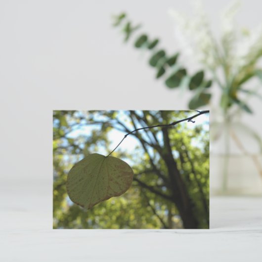 Chartreuse-Ruhe Postkarte (Stehend Vorderseite)