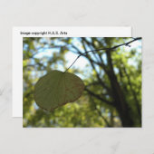 Chartreuse-Ruhe Postkarte (Vorne/Hinten)