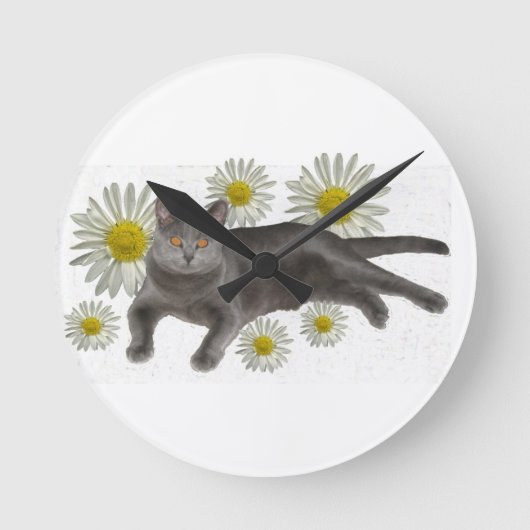Chartreux Cat mit Daisies Runde Wanduhr (Vorderseite)