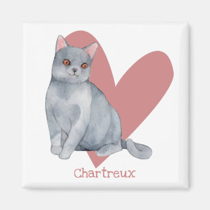 Chartreux Cat Watercolor Kitty Pink Herz Magnet