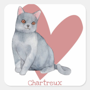 Chartreux Cat Watercolor Kitty Pink Herz Quadratischer Aufkleber