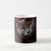 Chartreux Kaffeetasse (Mittel)